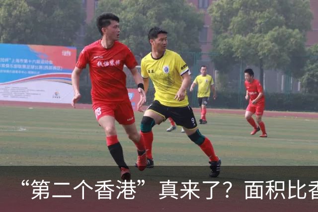 “第二个香港”真来了？面积比香港大30倍，目标是比香港都要自由